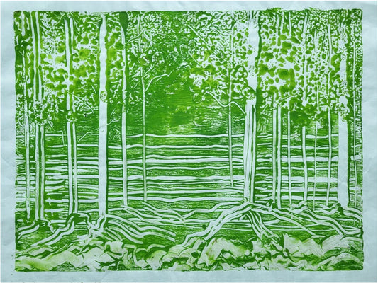 Mt Parker 水浸白千層